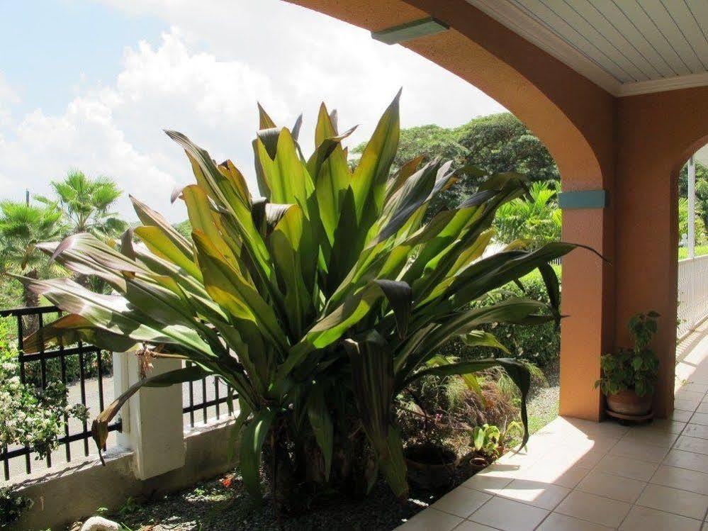 The Cove Hotel St Croix La Grande Princesse Exterior foto